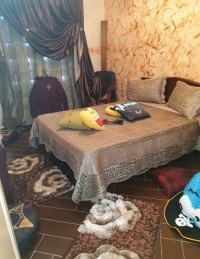 فيلا-بيع-الجزائر-برج-الكيفان
