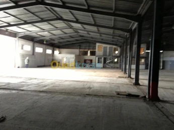 Location Hangar Alger Les eucalyptus