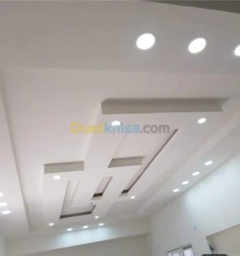 Placo platre Placoplatre faux plafond BA13 + élec