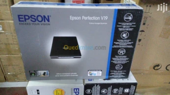EPSON Scanner Perfection V19 A Plat - A4 - 4800DPI - USB -