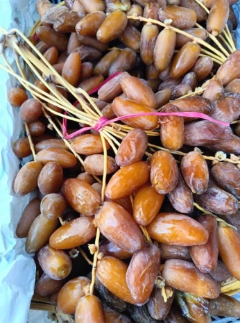 تمور بالجملة