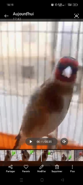مقنين فيه كلام شباب