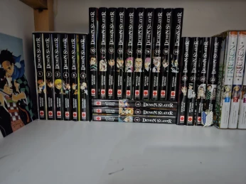 Manga demon slayer INTÉGRALE