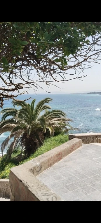 Vente Appartement F3 Alger El marsa
