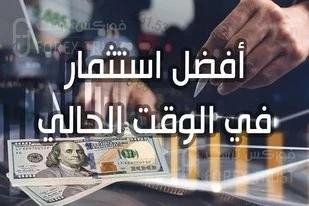استتمار في مجال اطعام الشركات
