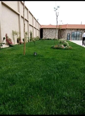 تهيئة المساحات الخضراء و البستنة
