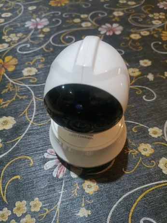 Camera surveillance