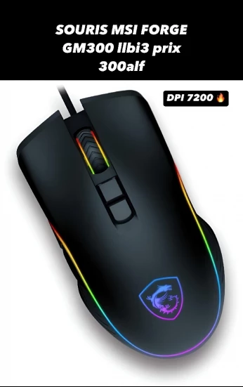 Souris MSI FORGE GM300