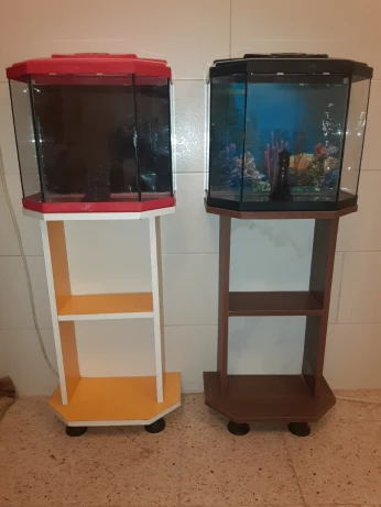 Aquarium avec meuble avec accessoires