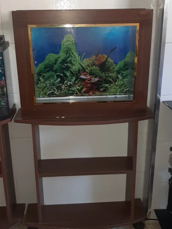 Aquarium plasma 60cm avec table