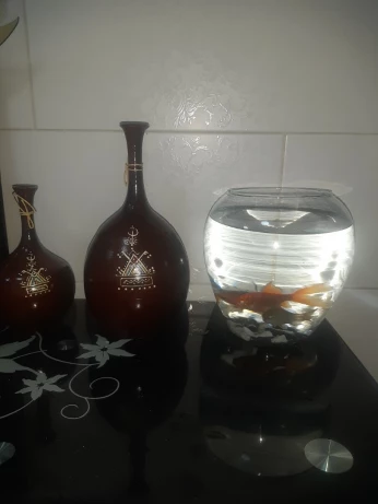 Aquabocal avec 3 Poissons