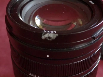 Panasonic Lumix 12-60mm 2.8 leica