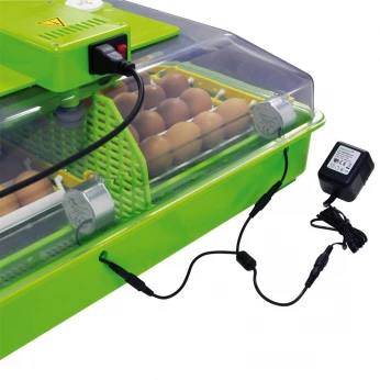 couveuse automatique turkye Cimukà 60 ouefs / فقاسة حاضنة مختلف انواع البيض 60 حبة تحتويها