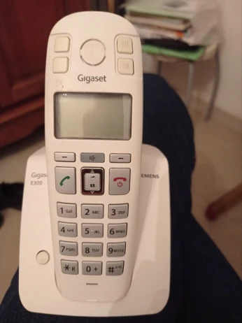 Siemens Gigaset E300