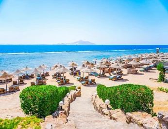 Caire + Alexandrie + Sharm El Sheikh 235.000 Da القاهرة + الإسكندرية + شرم الشيخ