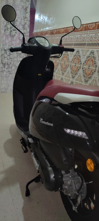 VMS Panaria 2023