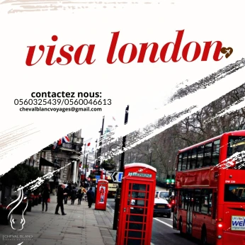 VISA LONDON