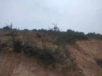 Vente Terrain Béjaïa Amizour