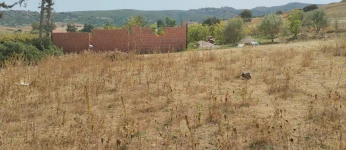 Vente Terrain Boumerdes Zemmouri