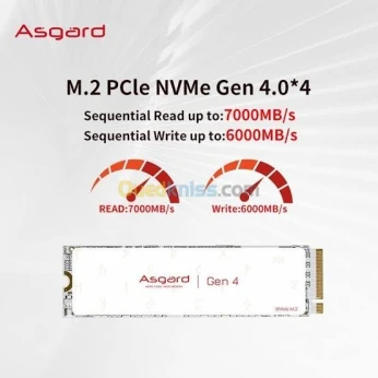 SSD ASGARD AN4 PLUS NVME 1.4 PCIe 4.0 M.2 1TB