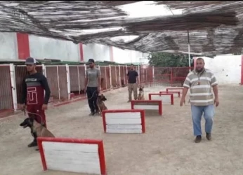 مركز تدريب الكلاب لنبيل بن عامر