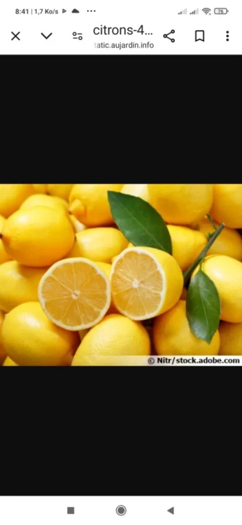 Vendre citron