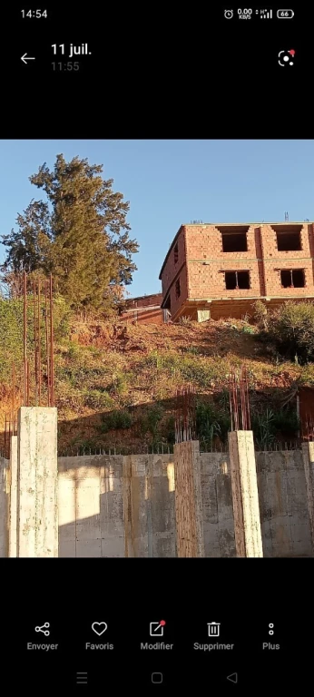 Vente Terrain Blida Ouled yaich