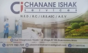 C I Services