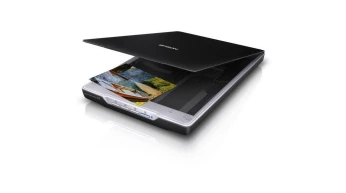 Scanner Epson Perfection V19