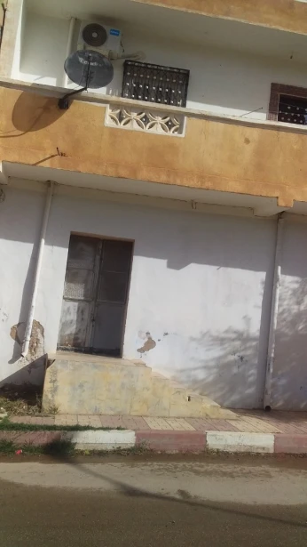 Vente Terrain Tlemcen Beni mester