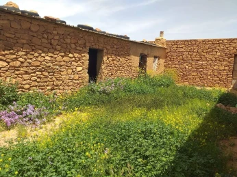 Vente Terrain Agricole Tiaret Naima