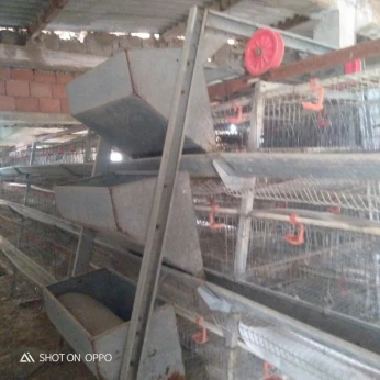 باتري دجاج سعة 2400 battery poulet