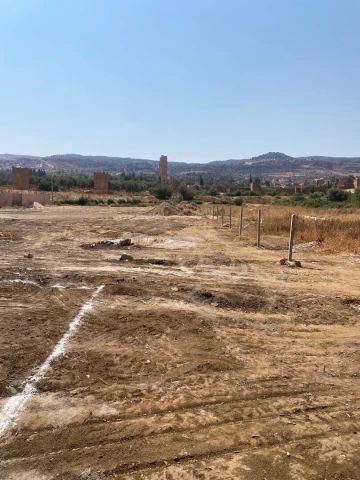 Vente Terrain Tlemcen Mansourah 5