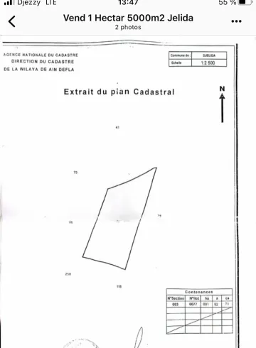 Vente Terrain Agricole Aïn Defla Djelida 3