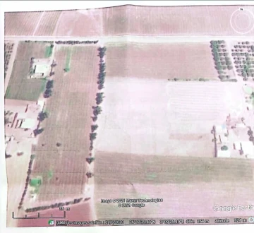 Vente Terrain Agricole Aïn Defla Djelida