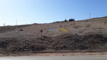 Vente Terrain Tlemcen Souahlia