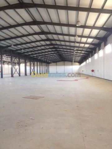 Location Hangar Blida Meftah 3