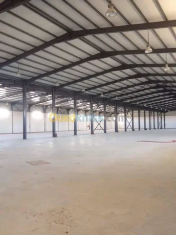 Location Hangar Blida Meftah 4