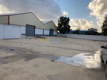 Location Hangar Blida Meftah