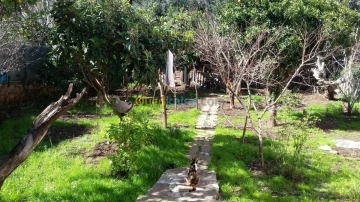 Vente Villa Guelma Guelma 2