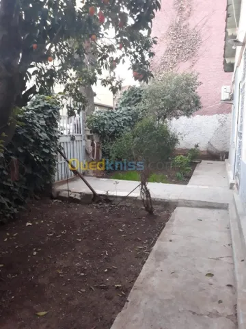 Vente Villa Guelma Guelma 3