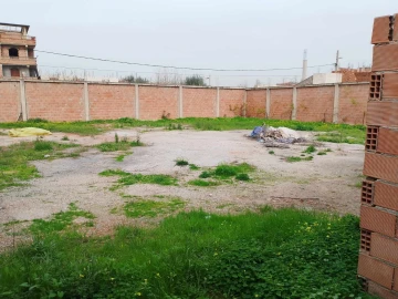 Location Hangar Blida Ouled selama 5