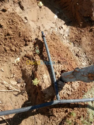 Vente Terrain Agricole Biskra Biskra 30