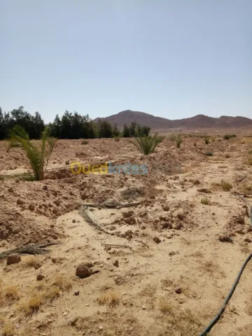 Vente Terrain Agricole Biskra Biskra 31