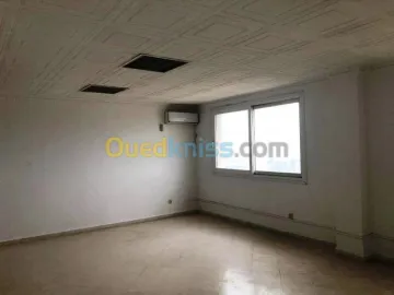 Location Immeuble Alger Zeralda 15