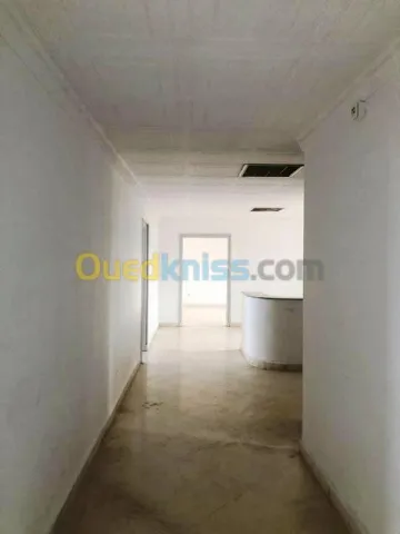 Location Immeuble Alger Zeralda 8