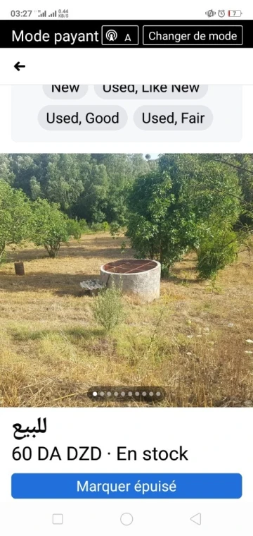 Vente Terrain Agricole Setif Hammam guergour 5