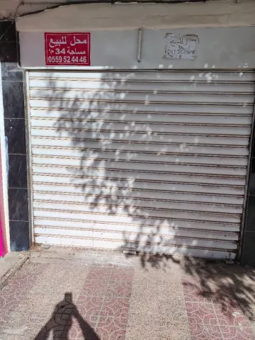 Vente Local Sidi Bel Abbès Sidi bel abbes 2