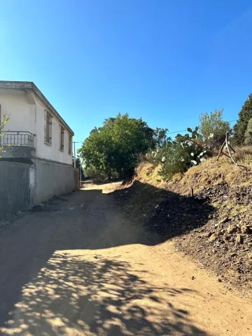 Vente Terrain Boumerdès Thenia