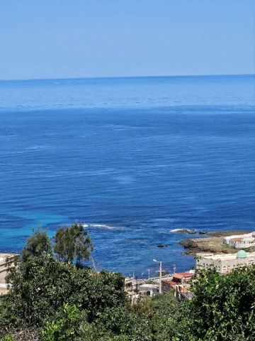 Vente Terrain El Tarf El kala